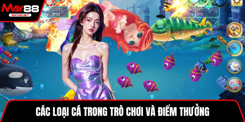 Các loại cá trong trò chơi và điểm thưởng