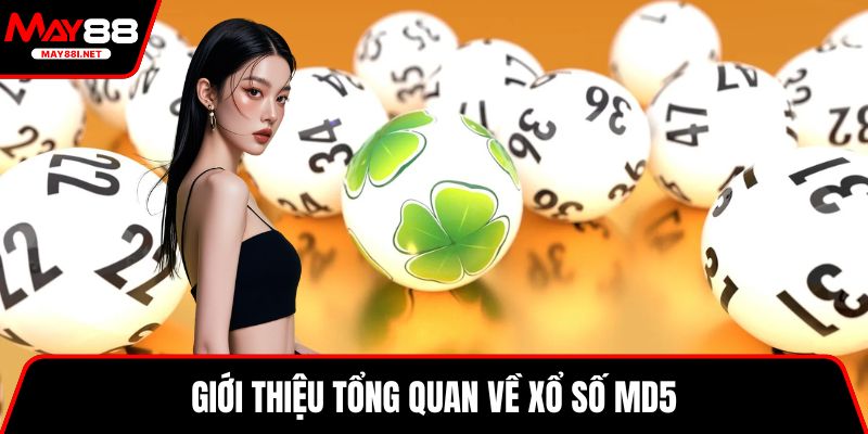 Giới thiệu tổng quan về xổ số MD5